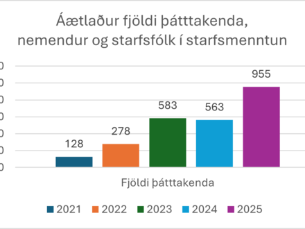Starfsmenntun-aukid-fjarmagn2025